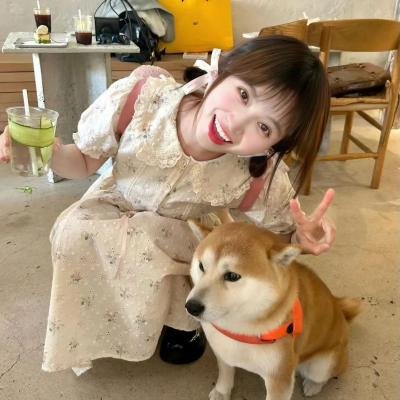 坏伙伴